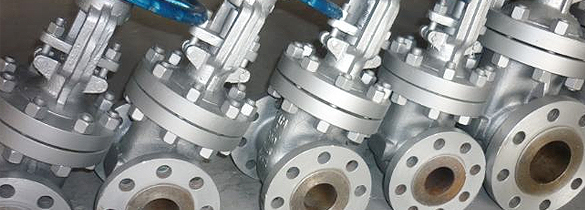 Gate Valve Series